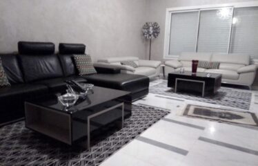 A louer un luxueux appartement meublé S+3 aux berges du lac 2