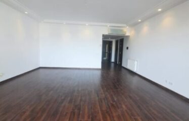 luxueux appartement S