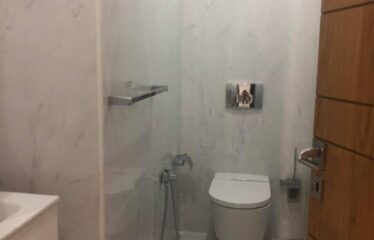 A louer un appartement S +3 aux berges du lac 2