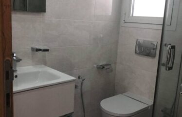 A louer un appartement S +3 aux berges du lac 2