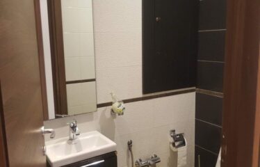 A louer un luxueux appartement meublé S+3 aux berges du lac 2