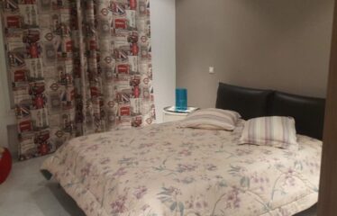 A louer un luxueux appartement meublé S+3 aux berges du lac 2