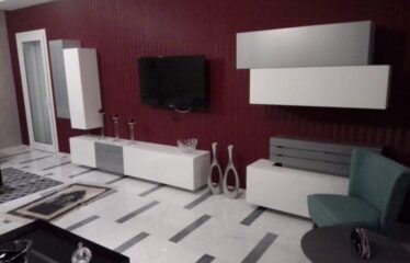 A louer un luxueux appartement meublé S+3 aux berges du lac 2
