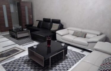luxueux appartement meublé S