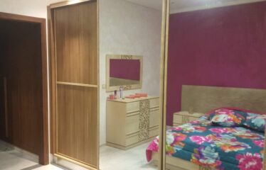 A louer un luxueux appartement meublé S+3 aux berges du lac 2