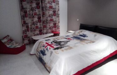 A louer un luxueux appartement meublé S+3 aux berges du lac 2