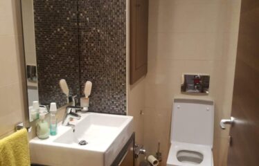 A louer un luxueux appartement meublé S+3 aux berges du lac 2