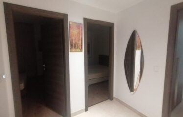 A louer un appartement S+2 meublé aux berges du lac 2