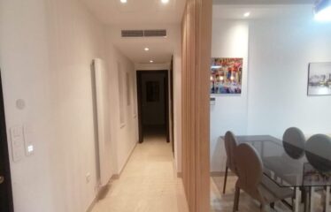 A louer un appartement S+2 meublé aux berges du lac 2