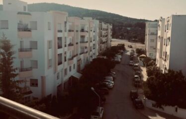 A louer un appartement S+2 à Riadh Andalous