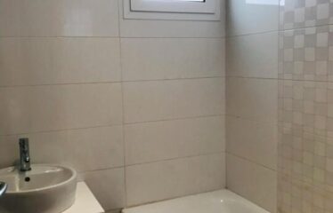 A louer un appartement spacieux S +3 aux berges du lac 2