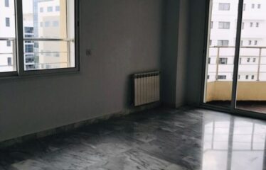 A louer un appartement spacieux S +3 aux berges du lac 2