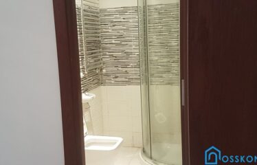 A louer un Appartement de luxe S+2 au lac 2