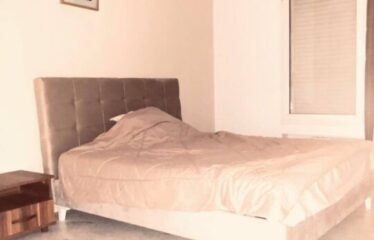 A louer un spacieux appartement S+4 au lac 2