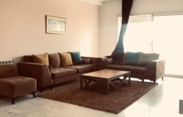A louer un appartement de standing S+3 au lac 2
