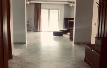 spacieux appartement S
