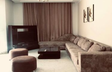 A louer un spacieux appartement S+4 au lac 2