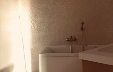 A louer un spacieux appartement S+4 au lac 2