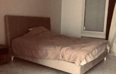 A louer un spacieux appartement S+4 au lac 2