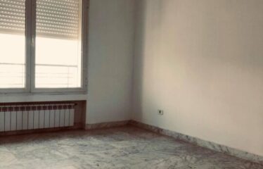 A louer un appartement S+2 au lac 2