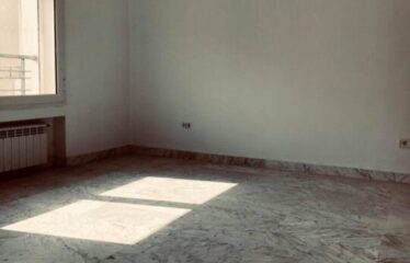 A louer un appartement S+2 au lac 2