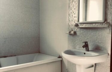 A louer un appartement S+2 au lac 2
