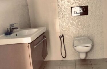 A louer un grand appartement S+3 vide aux berges du lac 2