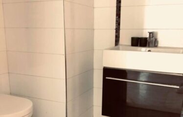 A louer un grand appartement S+3 vide aux berges du lac 2