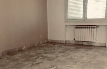 A louer un grand appartement S+3 vide aux berges du lac 2