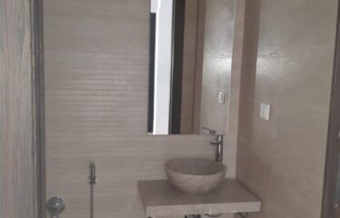 A louer un appartement de luxe S+2 au lac 2