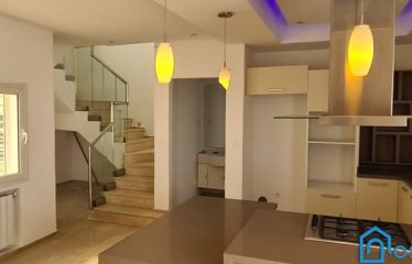 A louer un duplex de luxe au lac 1