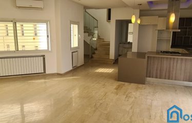 A louer un duplex de luxe au lac 1