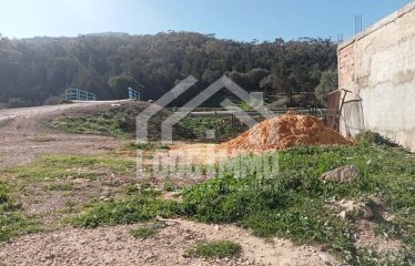 Terrain – Hammem Chatt