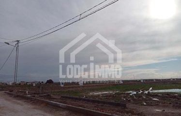 Terrain – Soliman