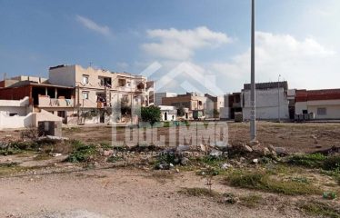 Terrrain Soliman – Dh&rsquo;hari