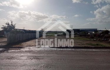 Terrain – Zone Industrielle – Soliman – Korbous