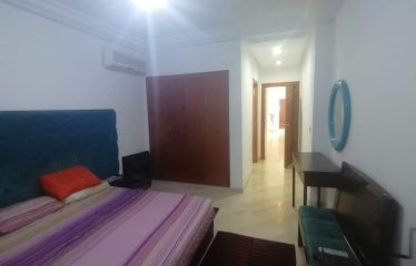 A louer un appartement S+3 richement meublé au lac 2