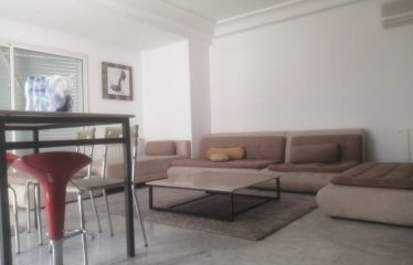 A louer un appartement S+3 richement meublé au lac 2