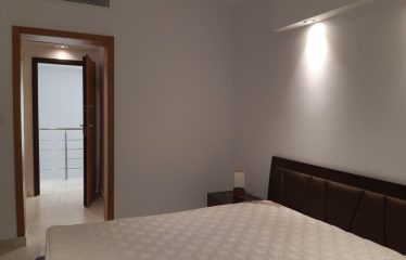 A louer un loft S+2 meublé au lac 2