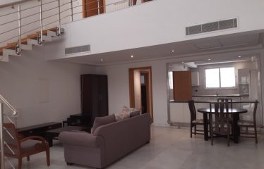 A louer un loft S+2 meublé au lac 2