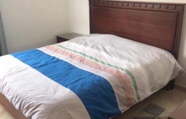 Appartement S+2 Lac 2