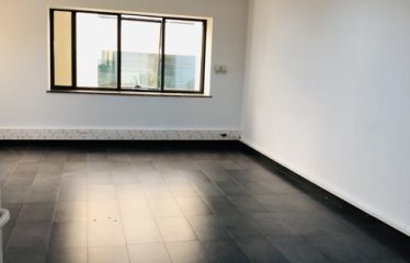 A louer un grand open space au lac 2