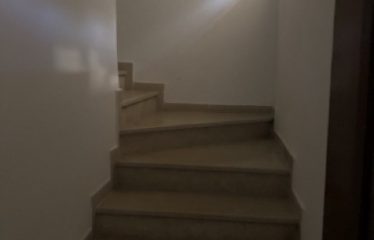 A louer un grand S+3 avec jardin au lac 2