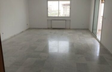 vendre un Appartement S