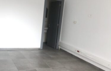 A louer un luxueux bureau au lac 2