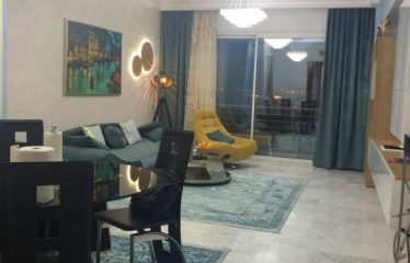 A louer un appartement S+3 richement meublé au lac 2
