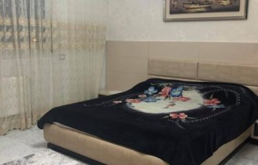 A louer un appartement S+3 richement meublé au lac 2