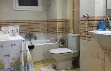 A louer un appartement S+3 richement meublé au lac 2
